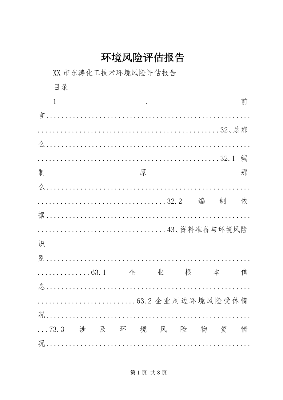 2023年环境风险评估报告.docx_第1页