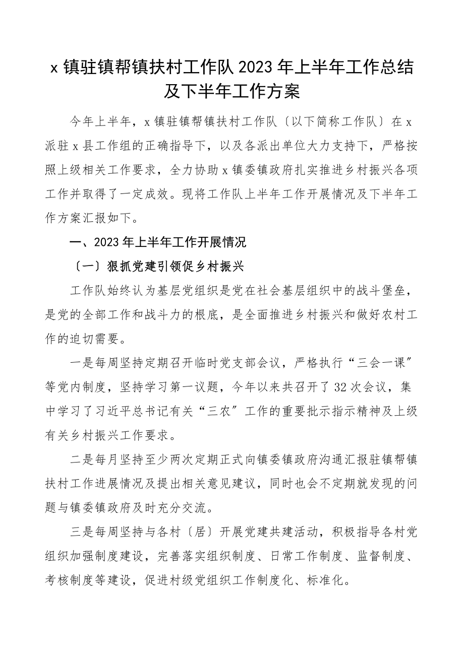 上半年工作总结及下半年工作计划范文驻村工作汇报报告含问题和建议文章.docx_第1页