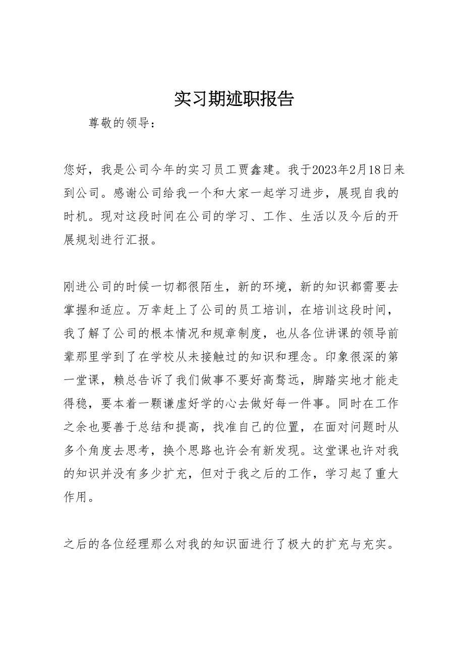 2023年实习期述职报告.doc_第1页