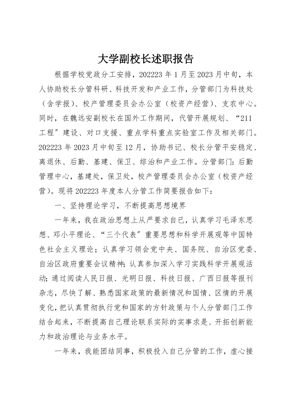 2023年大学副校长述职报告.docx_第1页