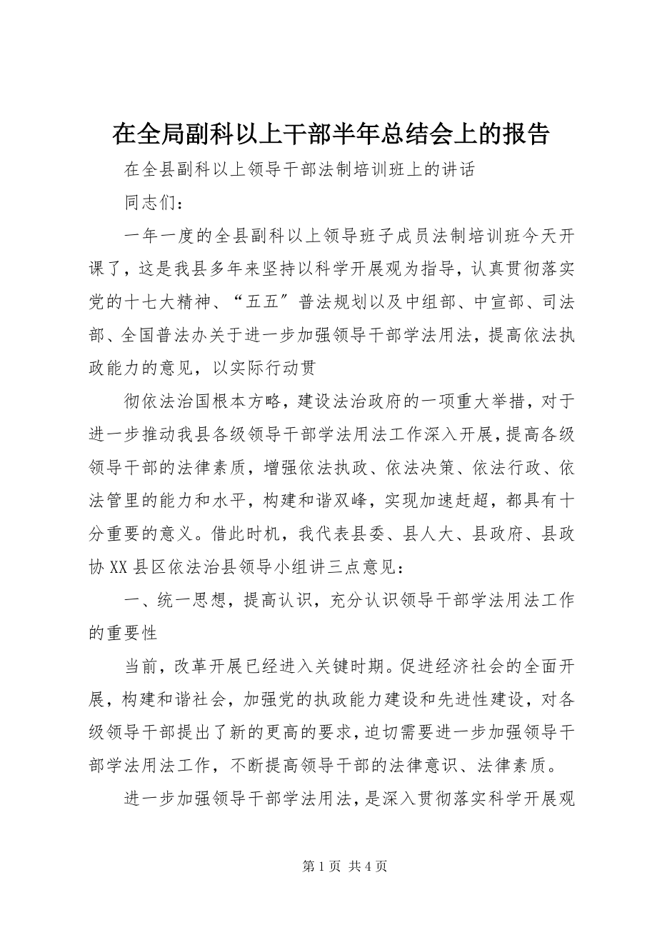 2023年在全局副科以上干部半年总结会上的报告.docx_第1页