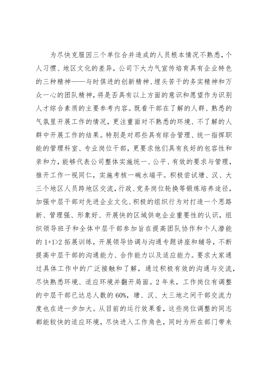 2023年电力党管干部调研报告新编.docx_第3页