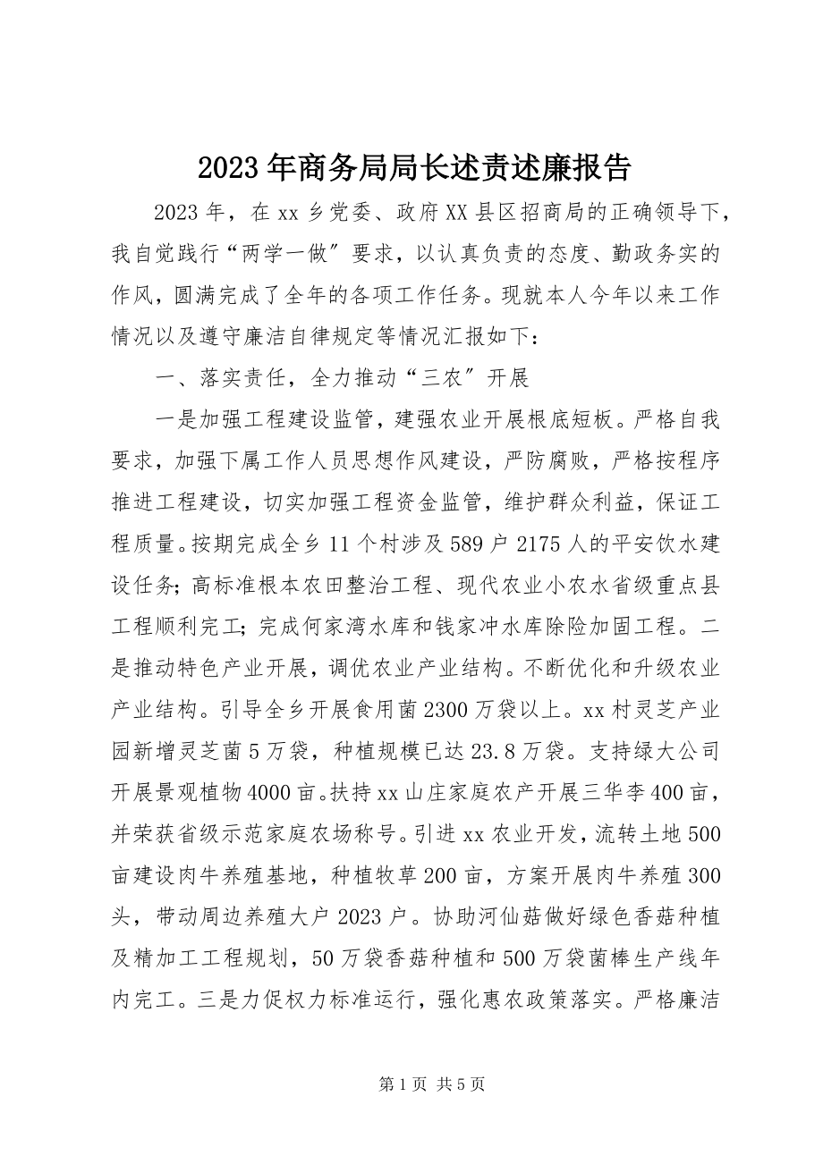 2023年商务局局长述责述廉报告.docx_第1页