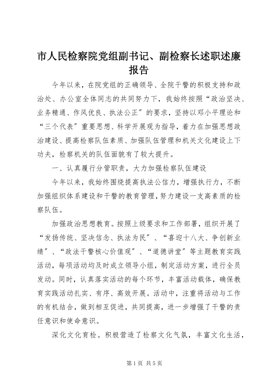 2023年市人民检察院党组副书记副检察长述职述廉报告.docx_第1页