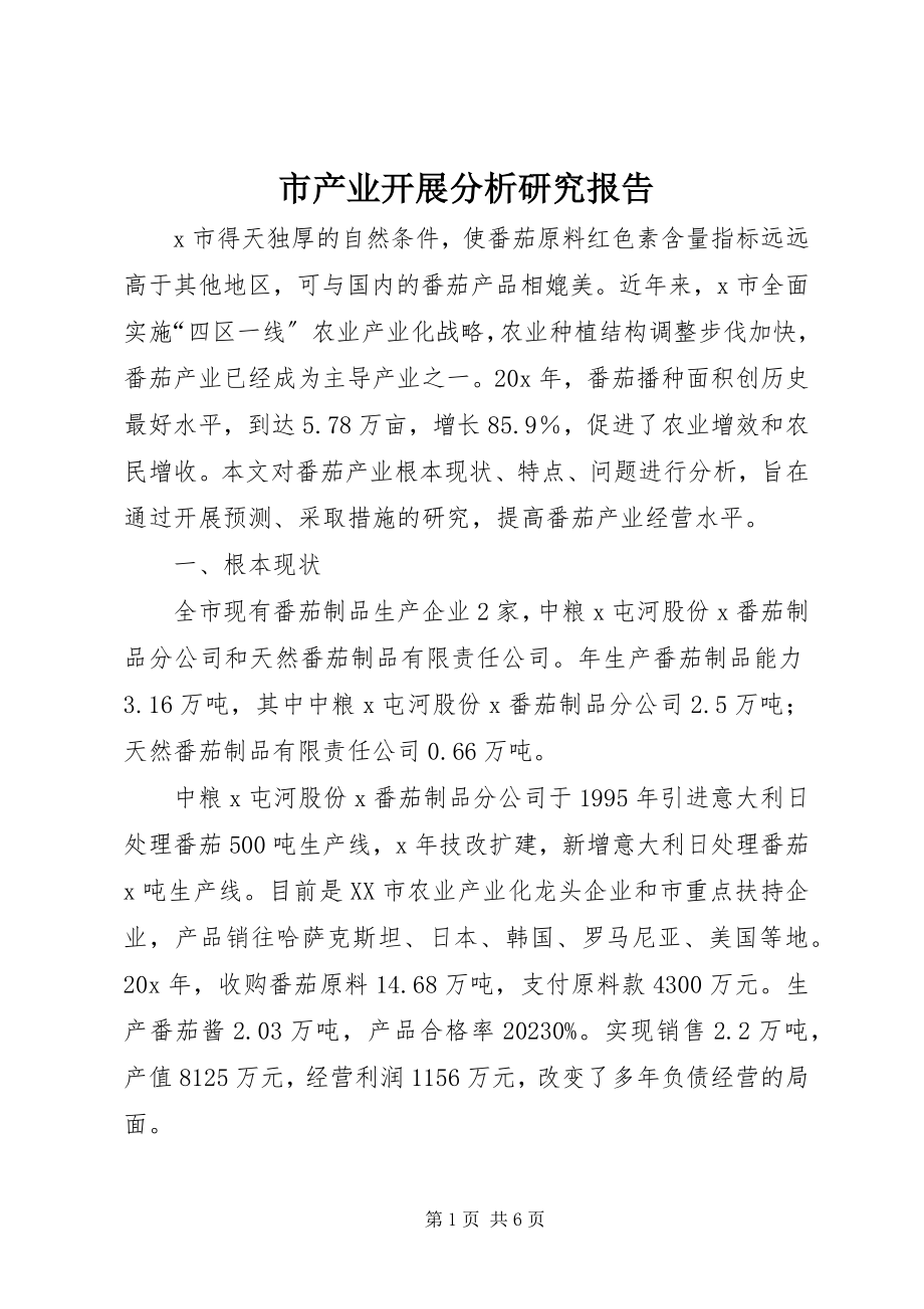 2023年市产业发展分析研究报告.docx_第1页