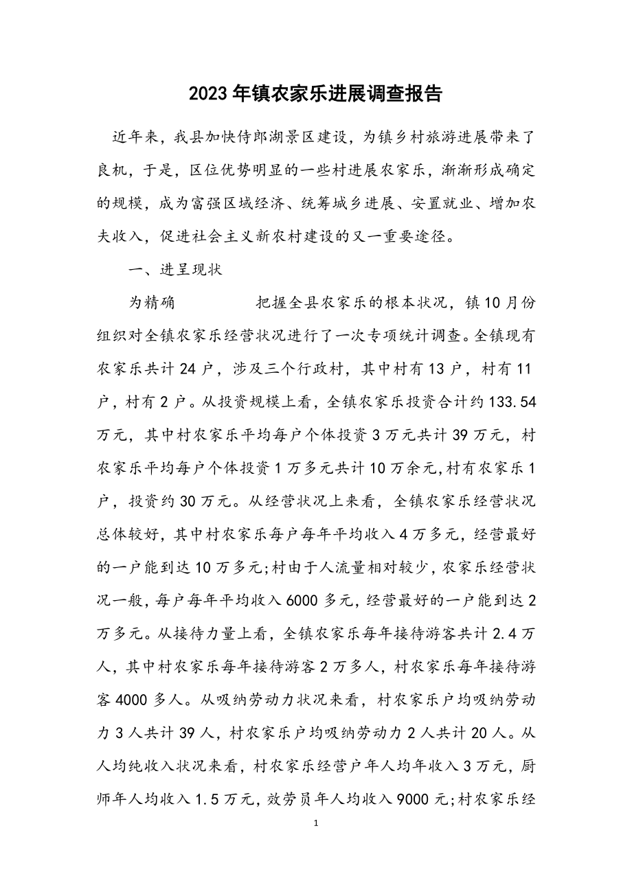 2023年镇农家乐发展调查报告.docx_第1页