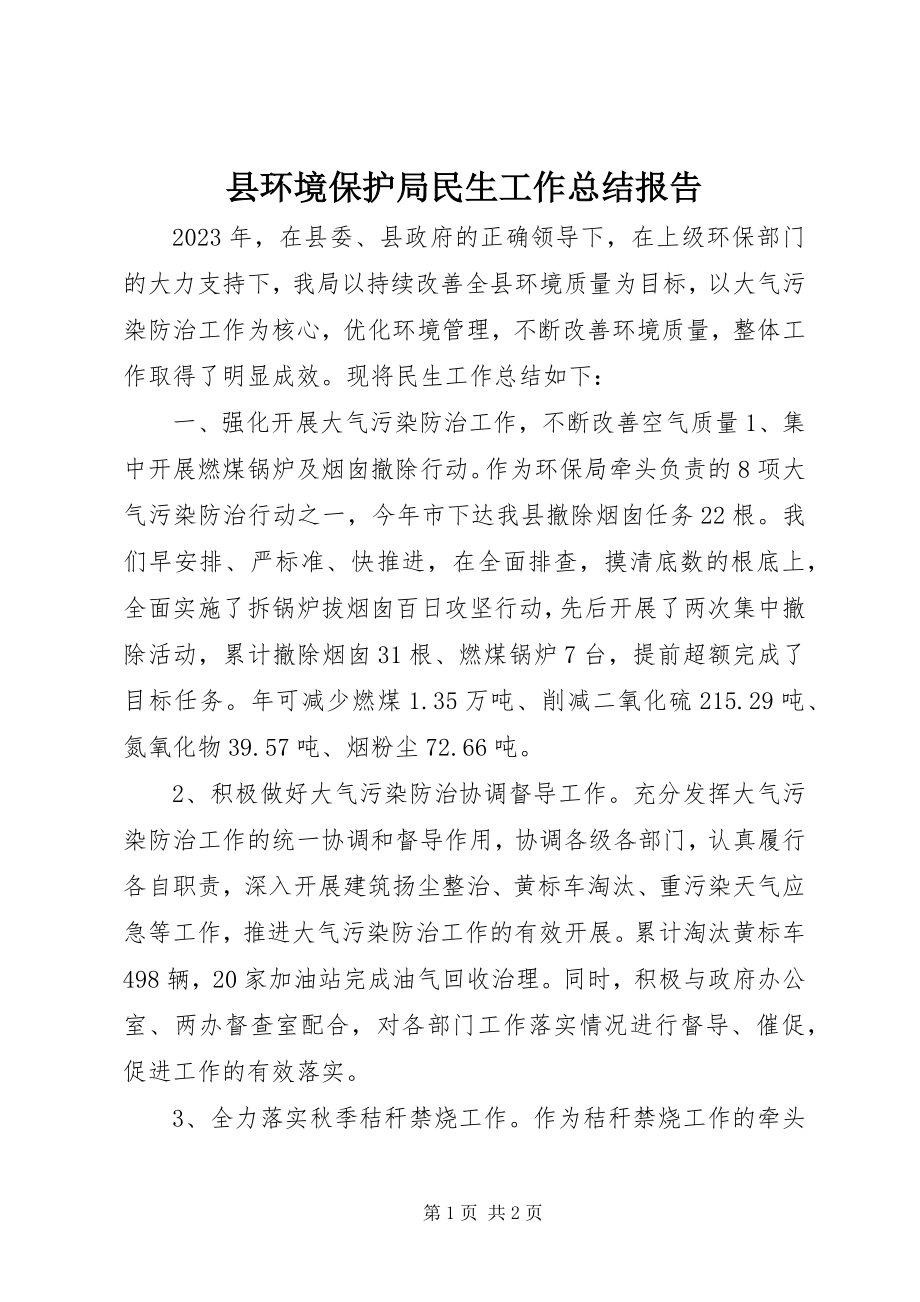 2023年县环境保护局民生工作总结报告.docx_第1页