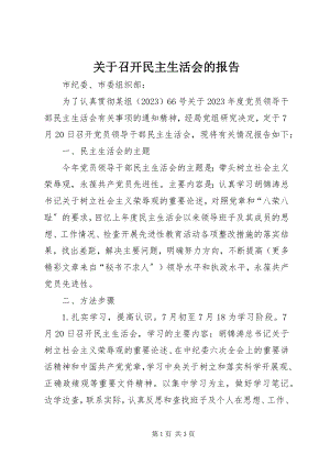 2023年召开民主生活会的报告.docx