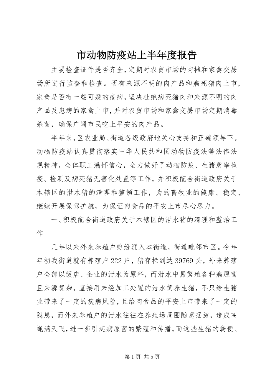 2023年市动物防疫站上半年度报告.docx_第1页