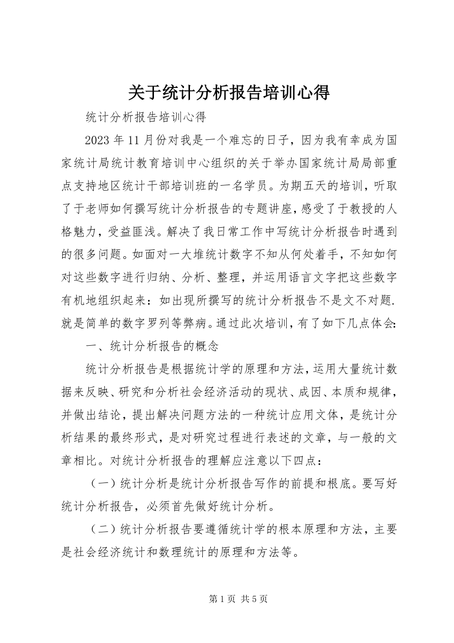 2023年统计分析报告培训心得.docx_第1页