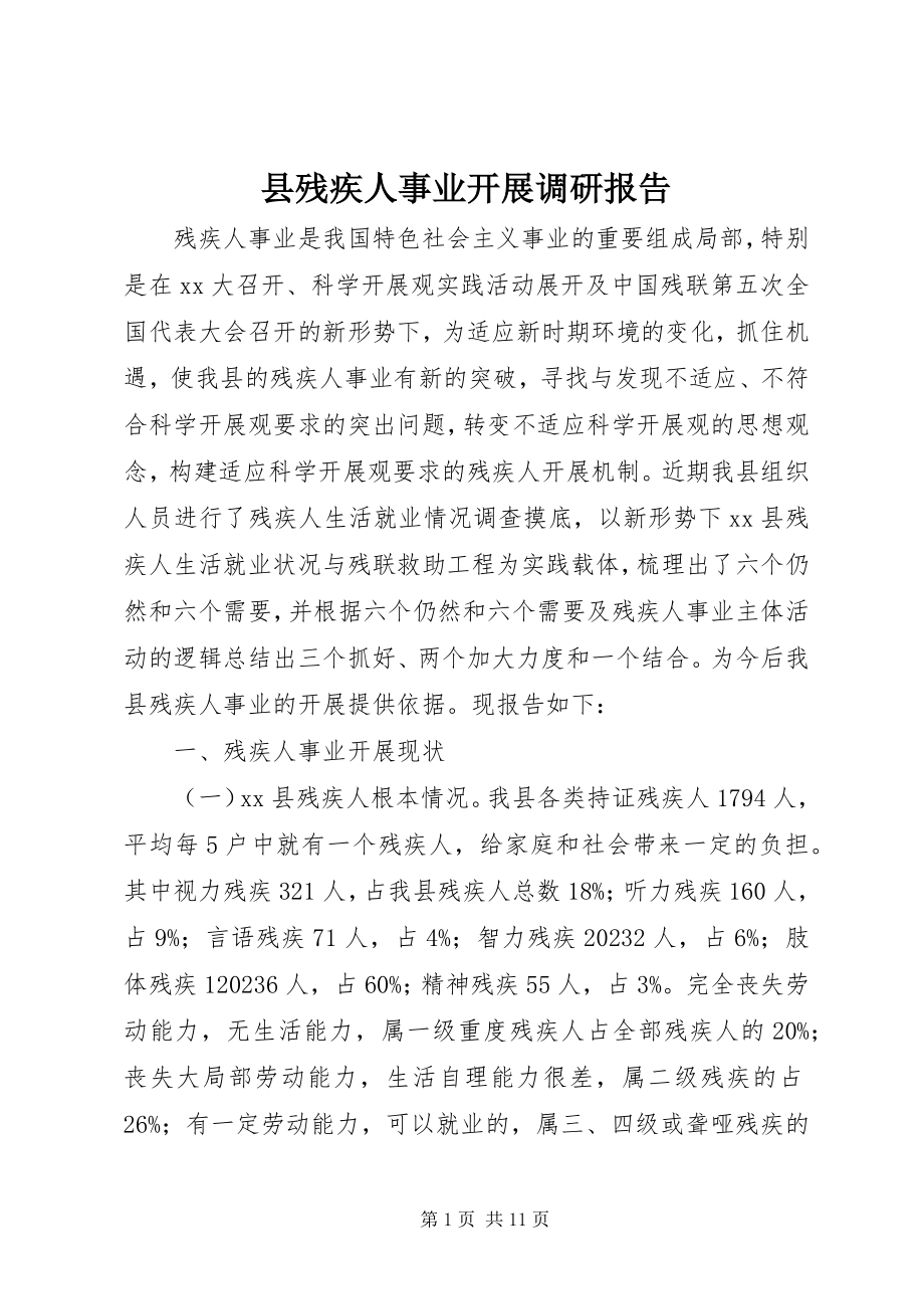 2023年县残疾人事业发展调研报告.docx_第1页