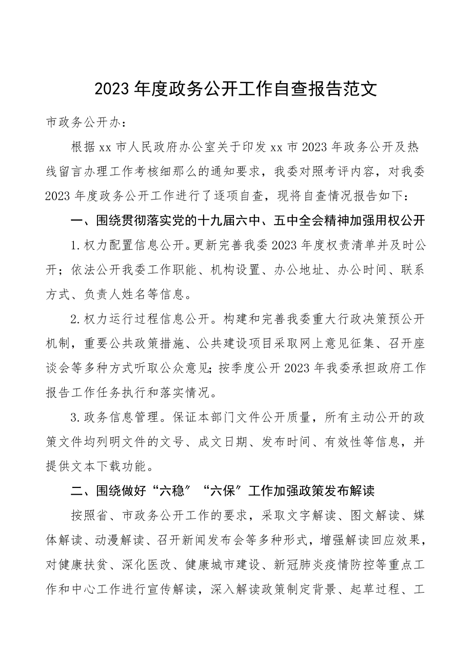 自查报告政务公开工作自查报告范文工作总结汇报报告.doc_第1页