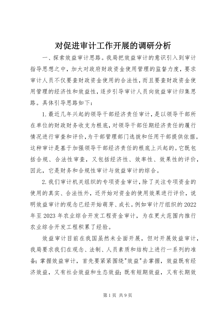 2023年对促进审计工作发展的调研分析.docx_第1页