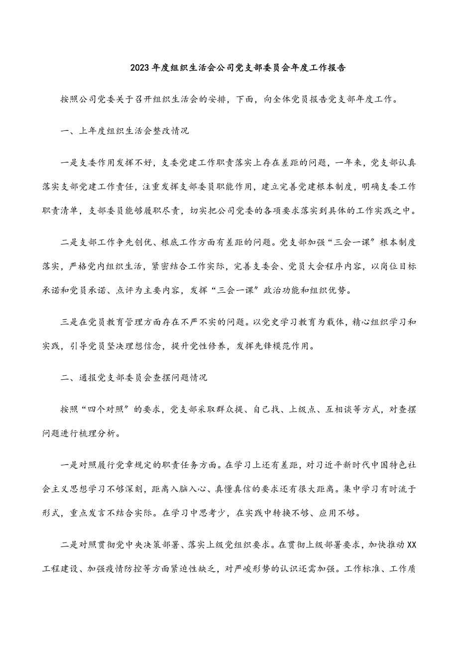 2023年度组织生活会公司党支部委员会年度工作报告.docx_第1页