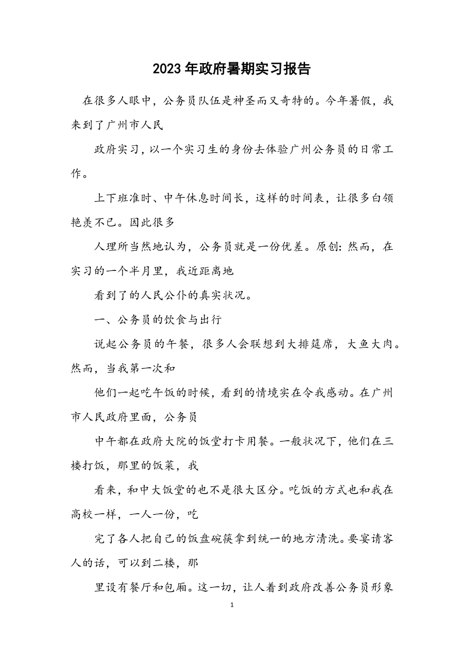 2023年政府暑期实习报告.docx_第1页