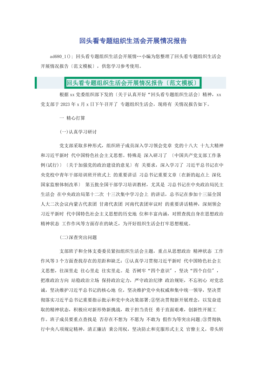 2023年回头看专题组织生活会开展情况报告.docx_第1页