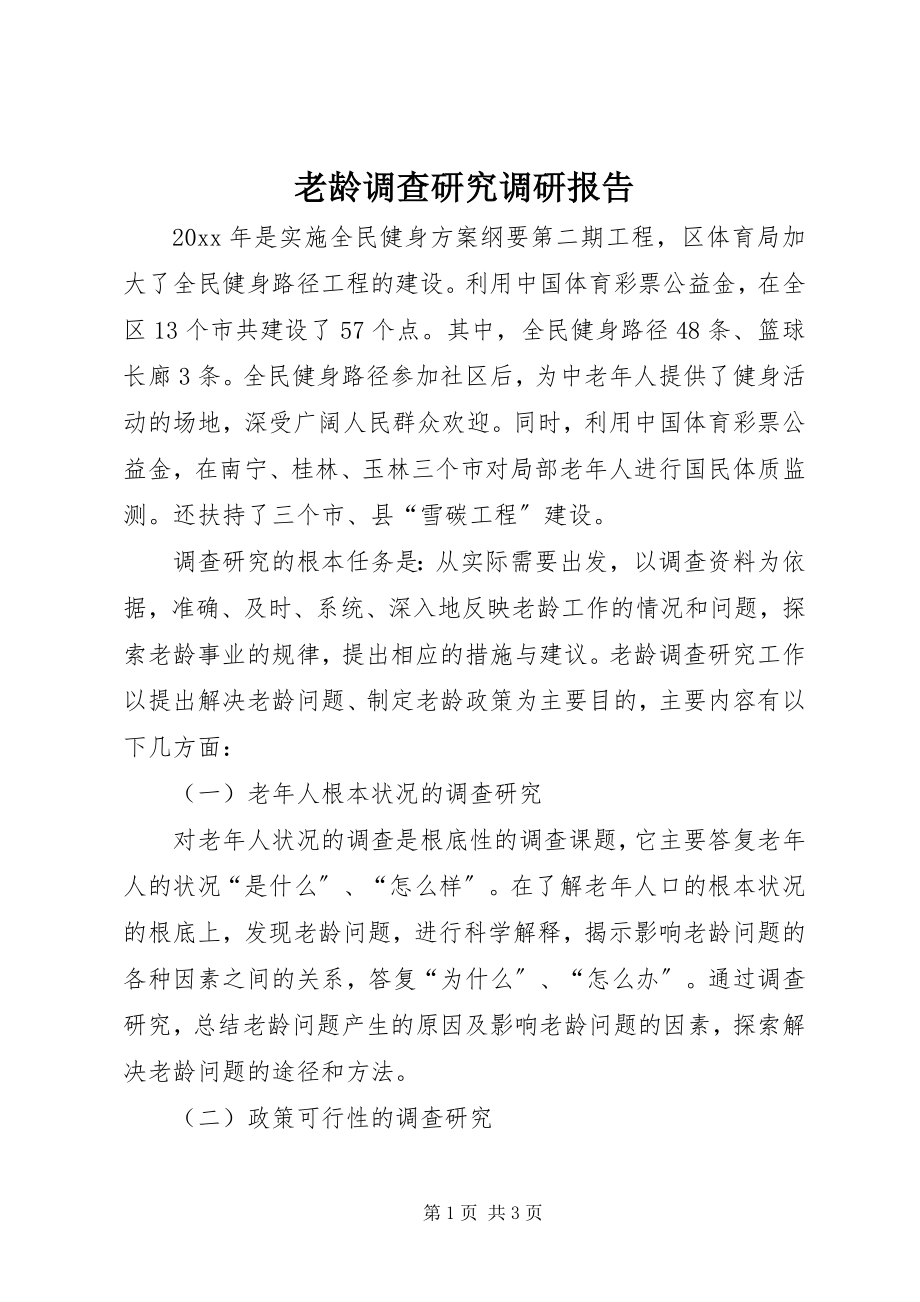 2023年老龄调查研究调研报告.docx_第1页