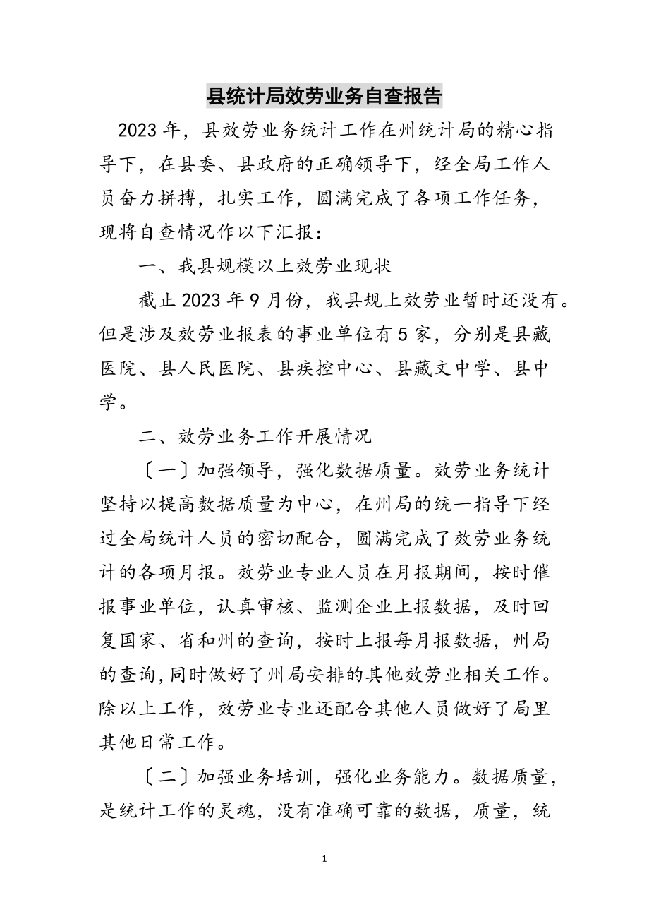 2023年县统计局服务业务自查报告范文.doc_第1页