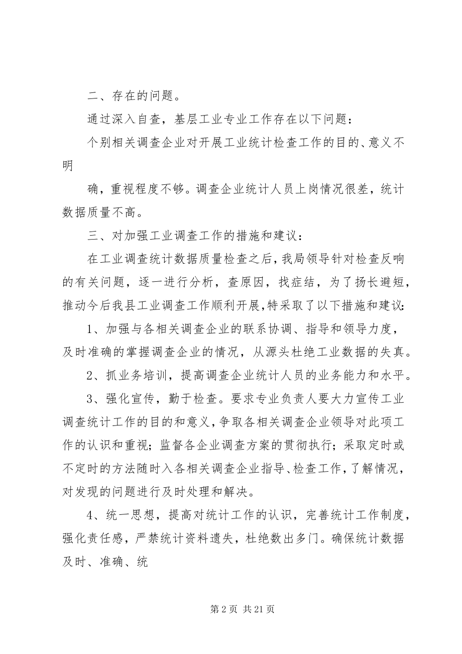 2023年工业执法检查自查报告.docx_第2页