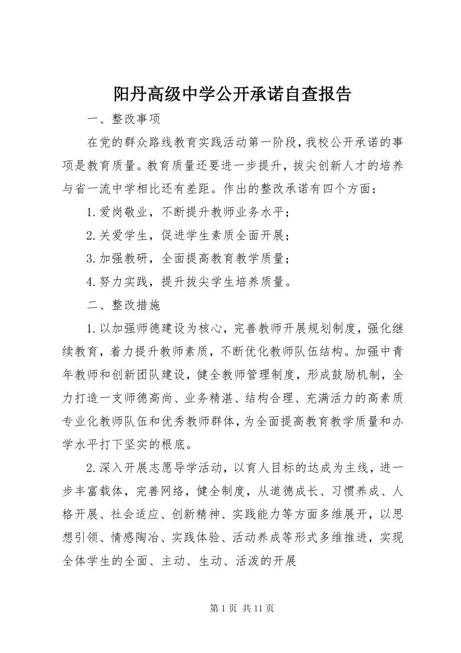 2023年阳丹高级中学公开承诺自查报告.docx_第1页