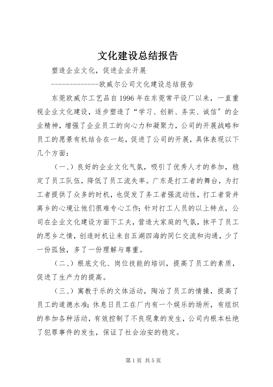 2023年文化建设总结报告.docx_第1页