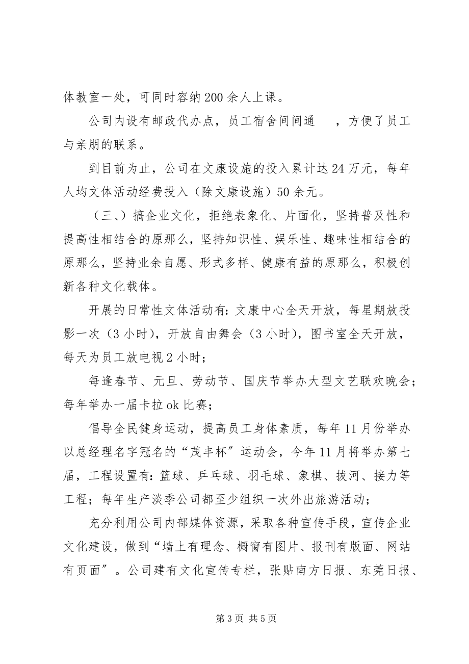 2023年文化建设总结报告.docx_第3页