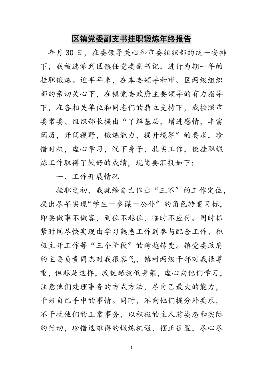 2023年区镇党委副支书挂职锻炼年终报告范文.doc_第1页