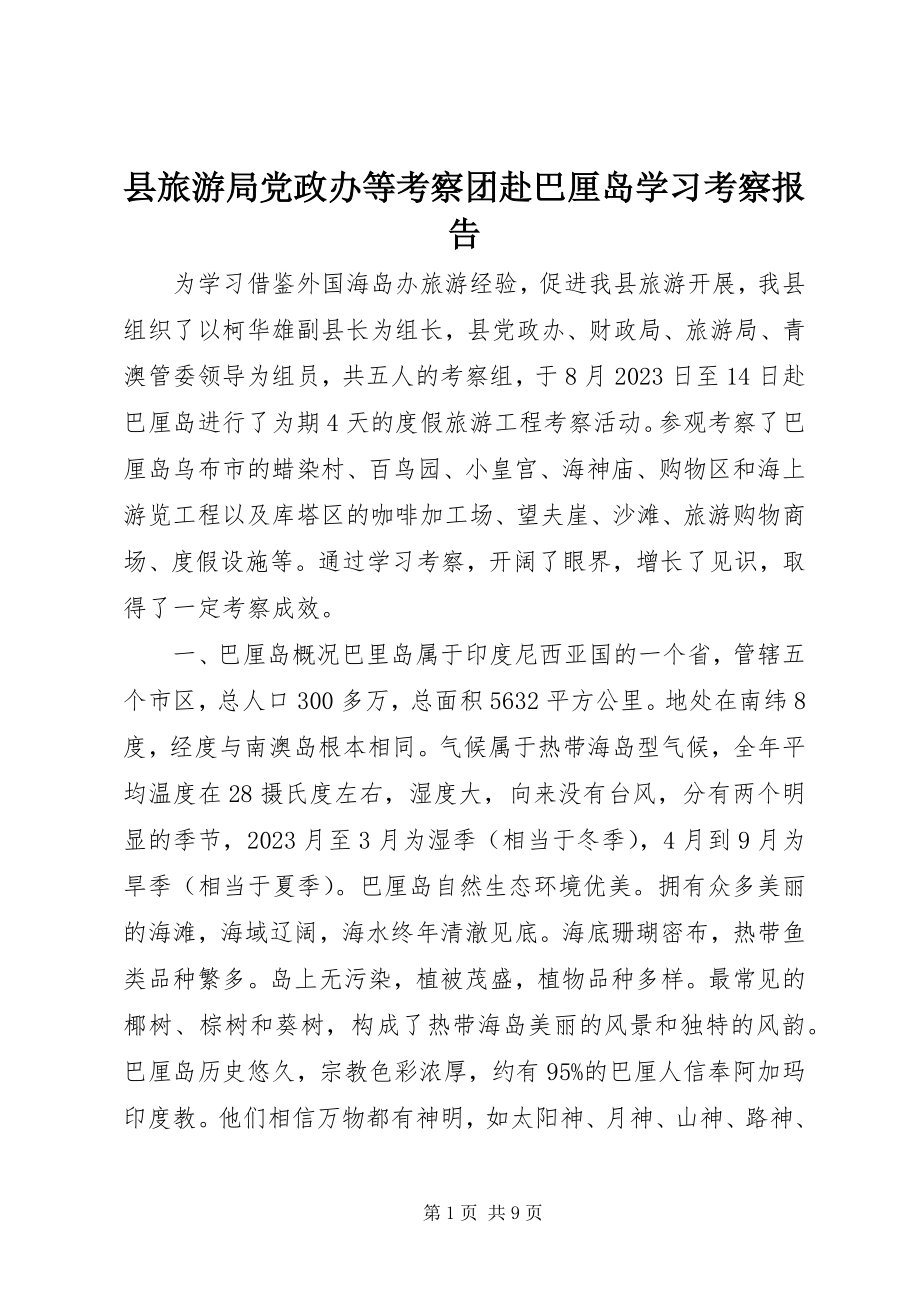 2023年县旅游局党政办等考察团赴巴厘岛学习考察报告.docx_第1页