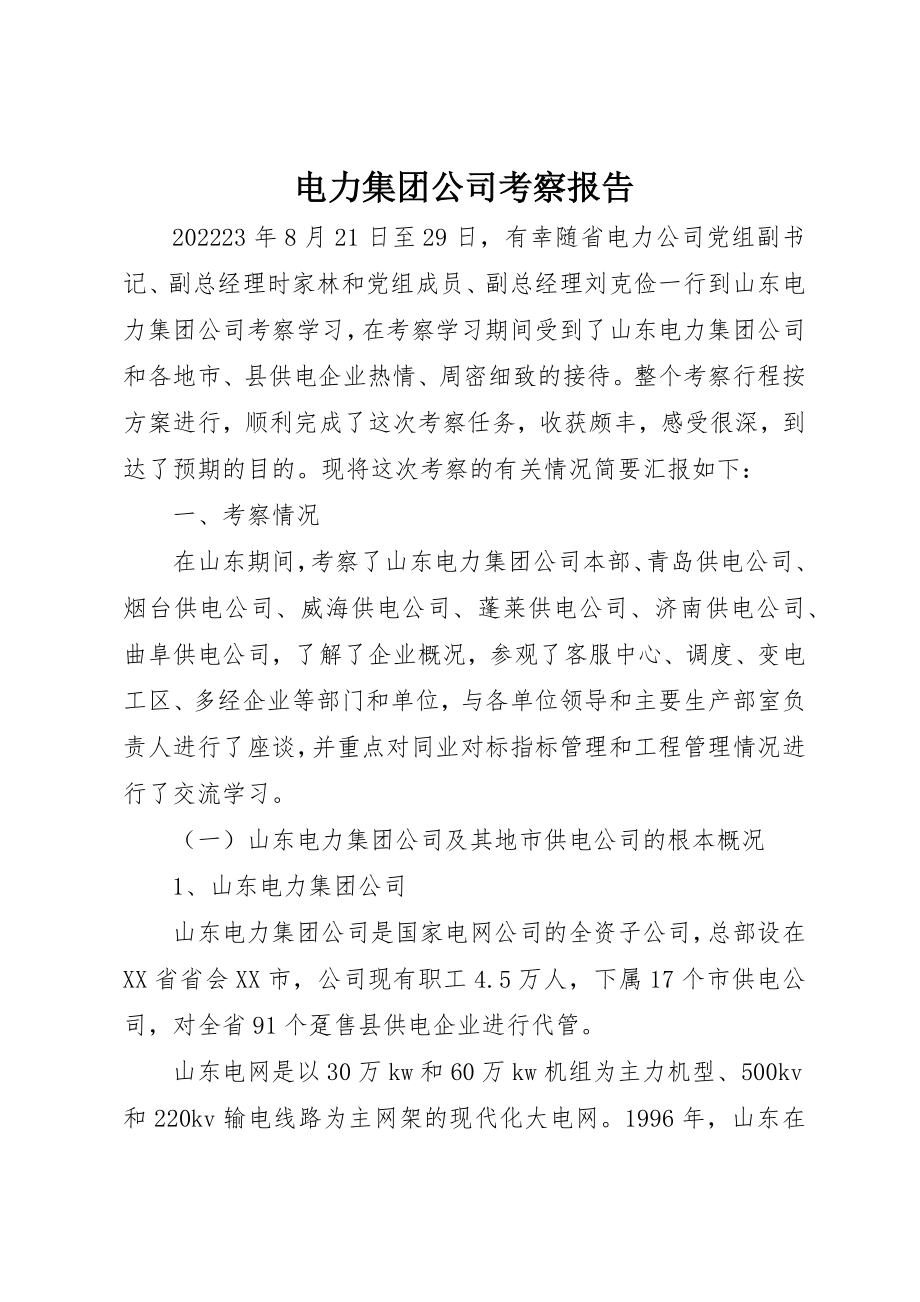 2023年电力集团公司考察报告新编.docx_第1页