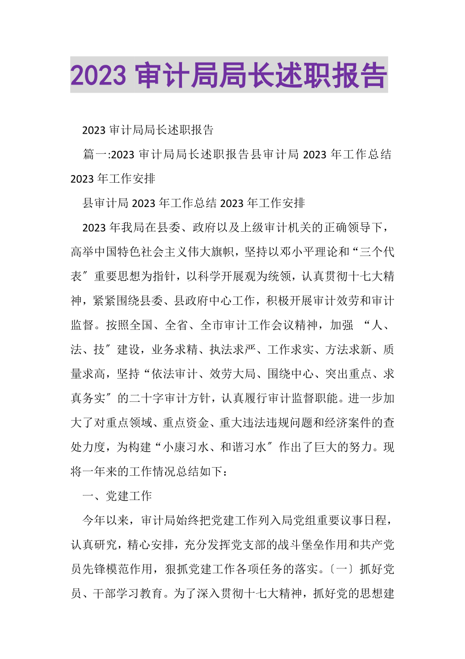 2023年审计局局长述职报告.doc_第1页