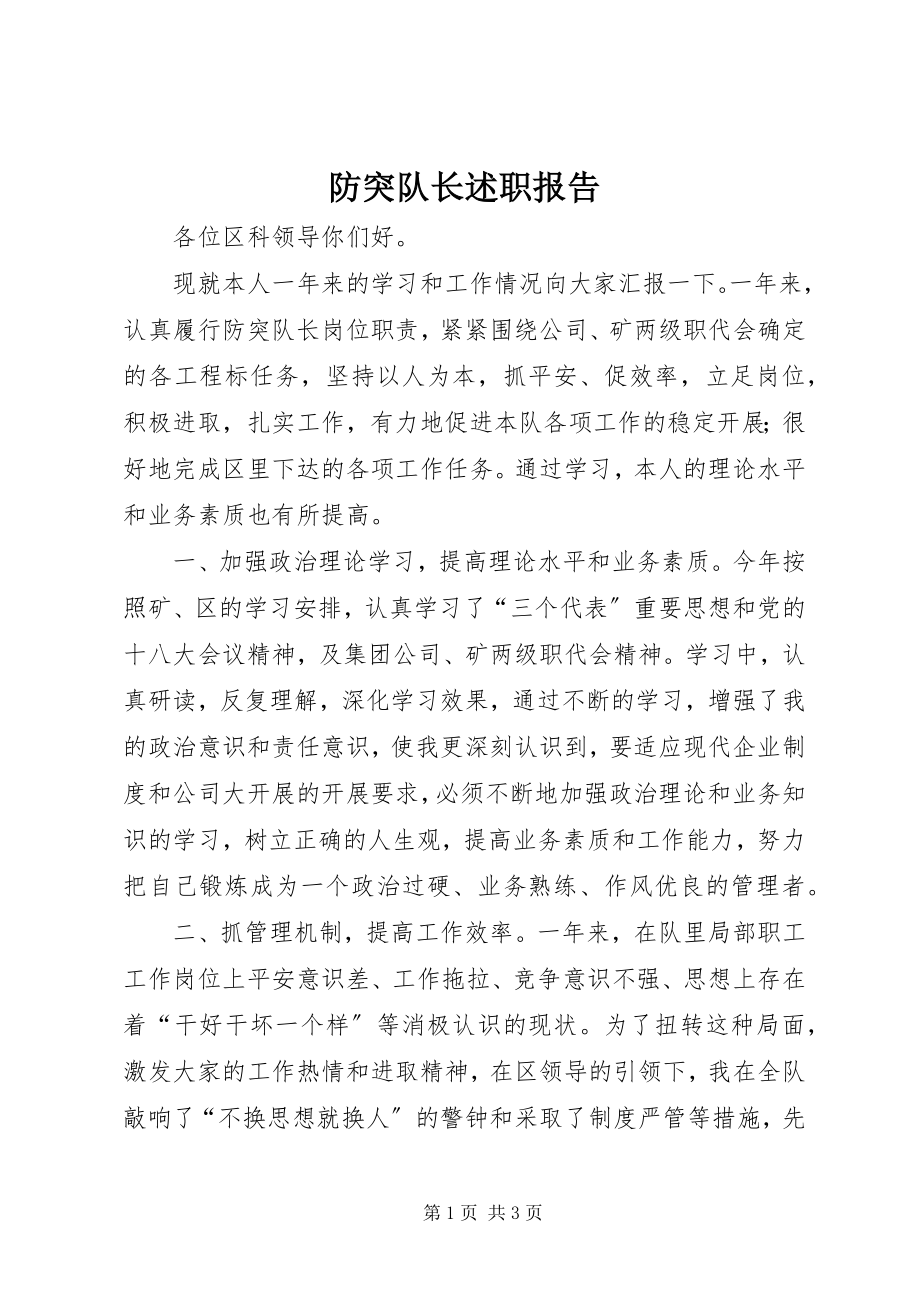 2023年防突队长述职报告.docx_第1页