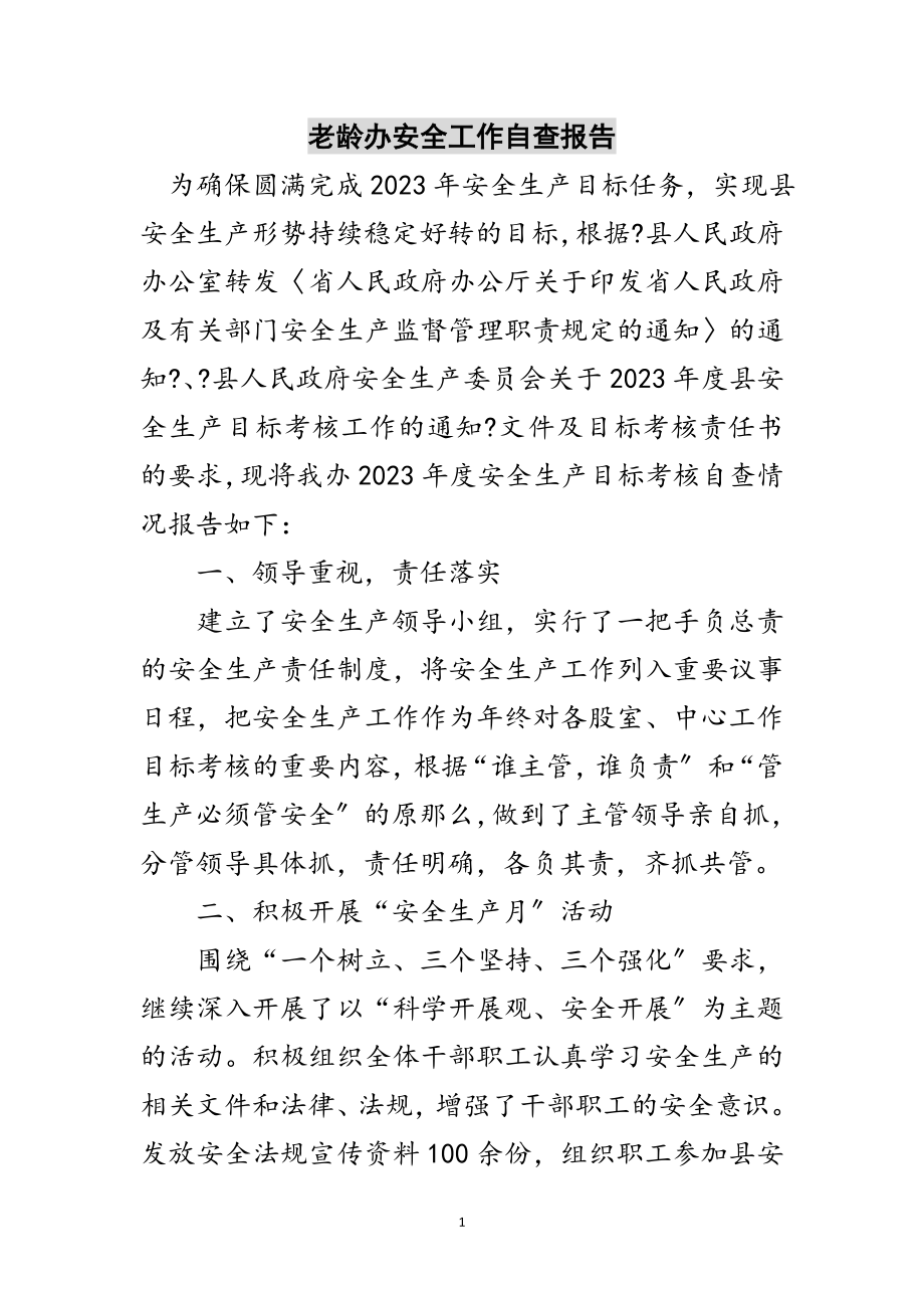 2023年老龄办安全工作自查报告范文.doc_第1页