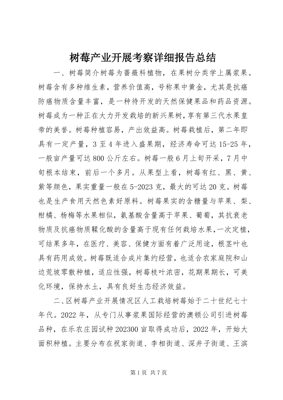 2023年树莓产业发展考察详细报告总结.docx_第1页