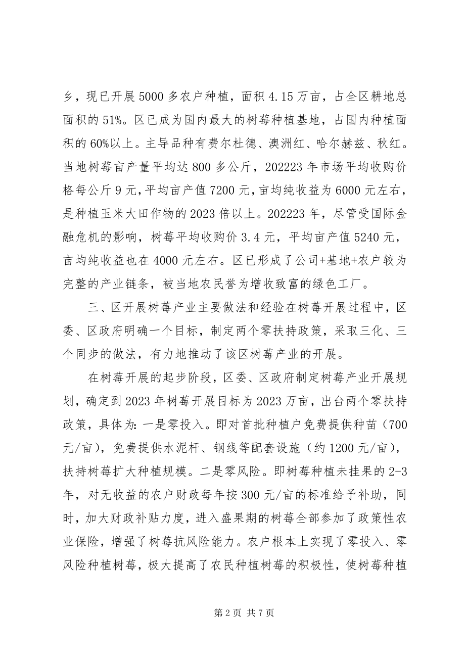 2023年树莓产业发展考察详细报告总结.docx_第2页