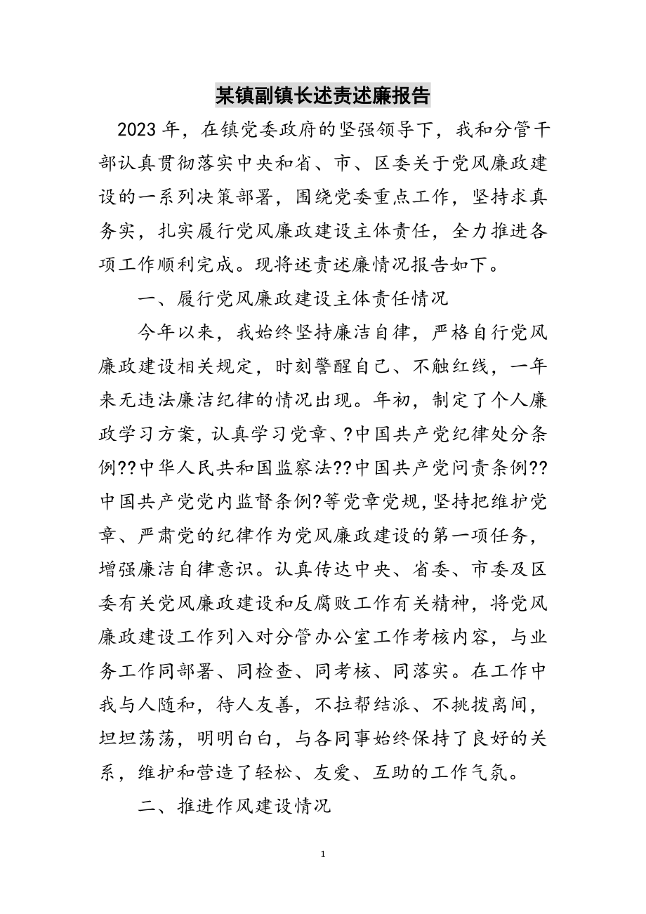 2023年某镇副镇长述责述廉报告范文.doc_第1页