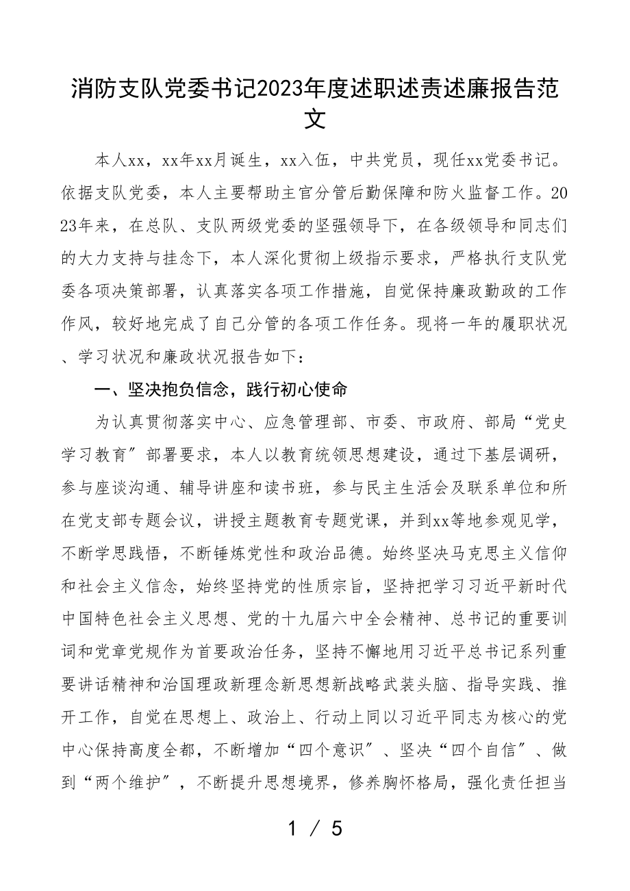 2023年度述职述责述廉报告.doc_第1页