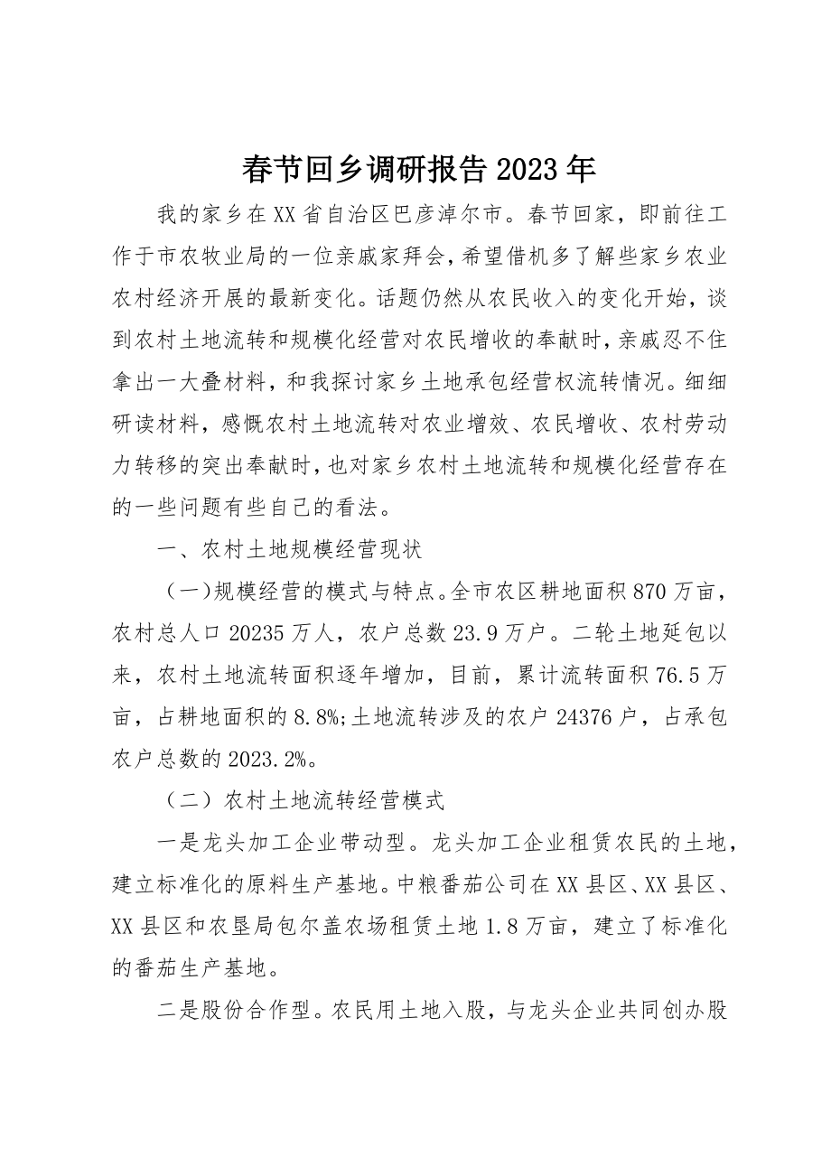 2023年春节回乡调研报告某年新编.docx_第1页