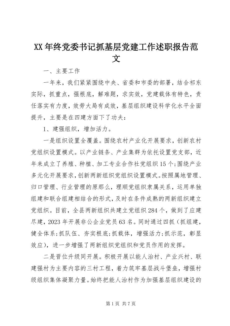 2023年终党委书记抓基层党建工作述职报告2.docx_第1页