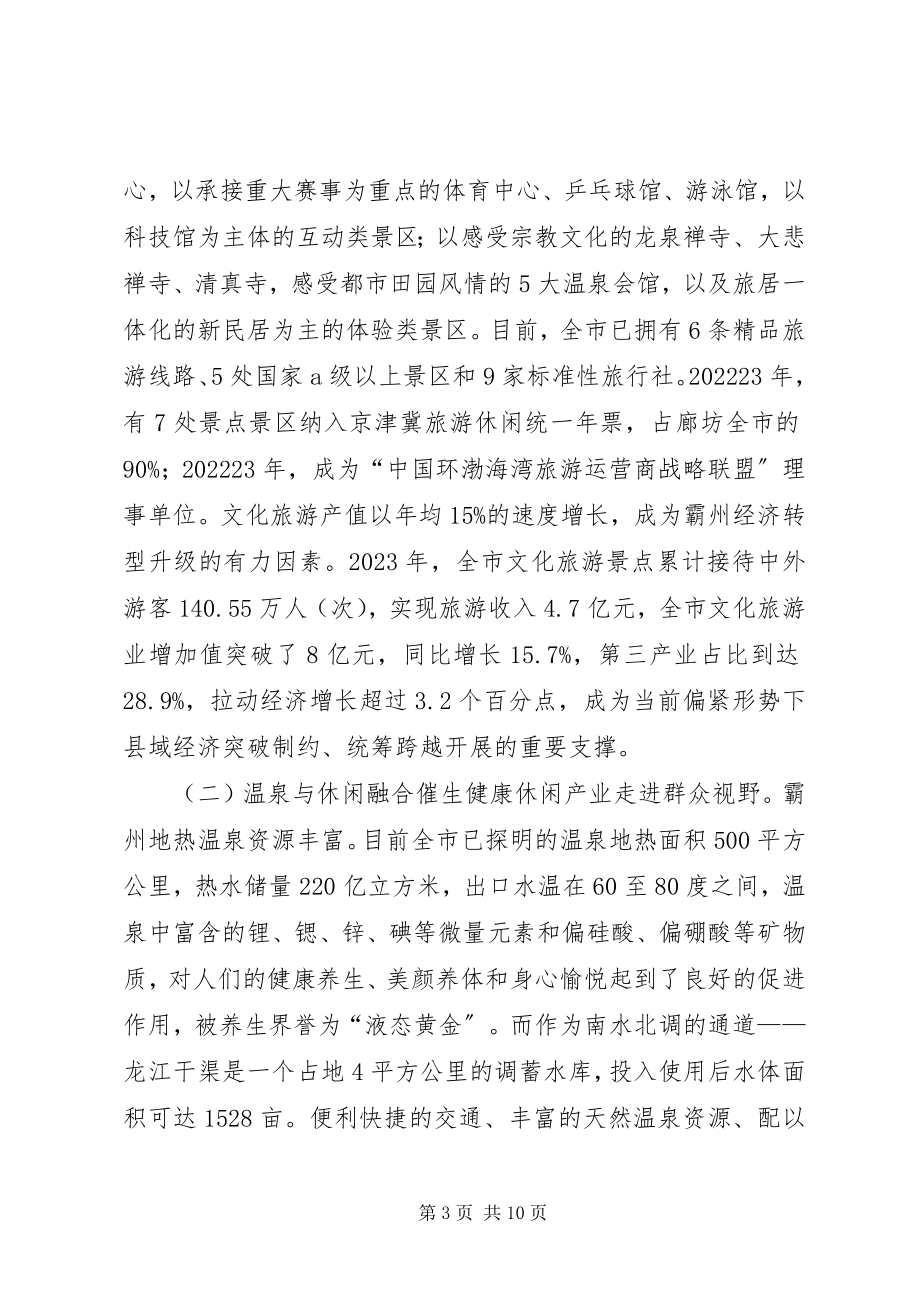 2023年市文化产业发展的调研报告.docx_第3页