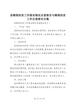 2023年县精准扶贫工作落实情况自查报告与精准扶贫工作自查报告合集.docx