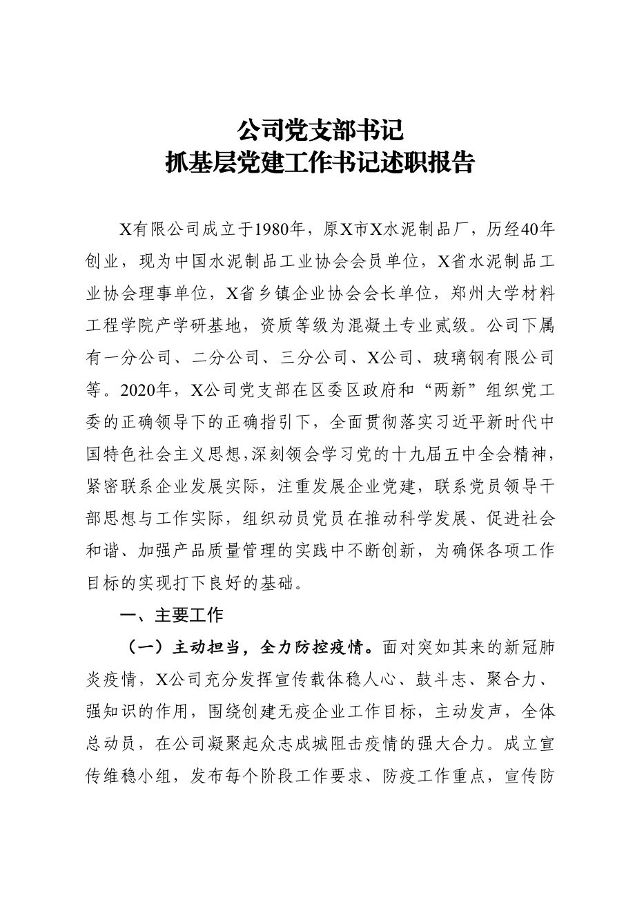 公司党支部书记抓基层党建工作书记述职报告.docx_第1页