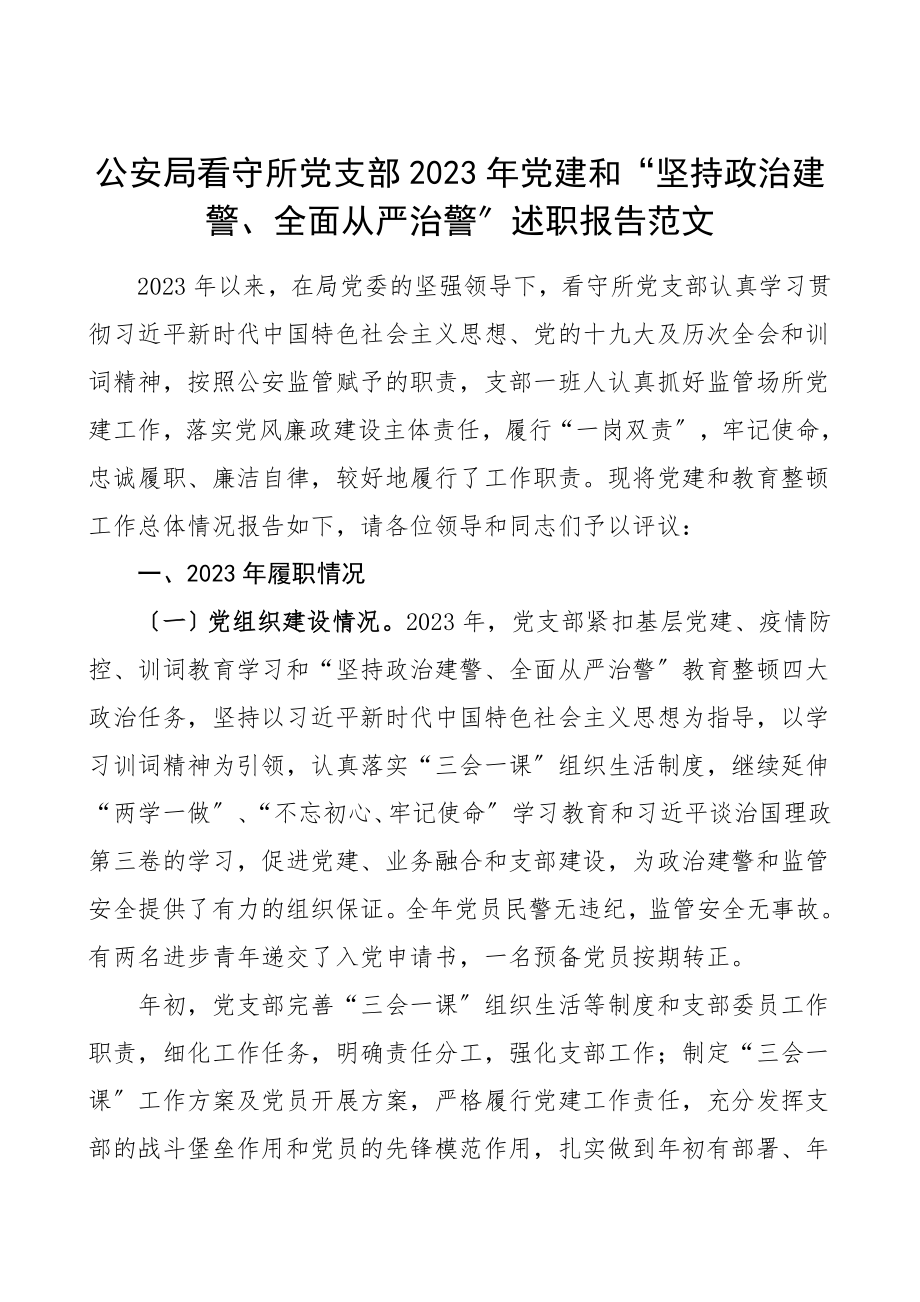 工作总结2023年党建和坚持政治建警全面从严治警述职报告领导班子述职工作总结汇报报告范文.doc_第1页