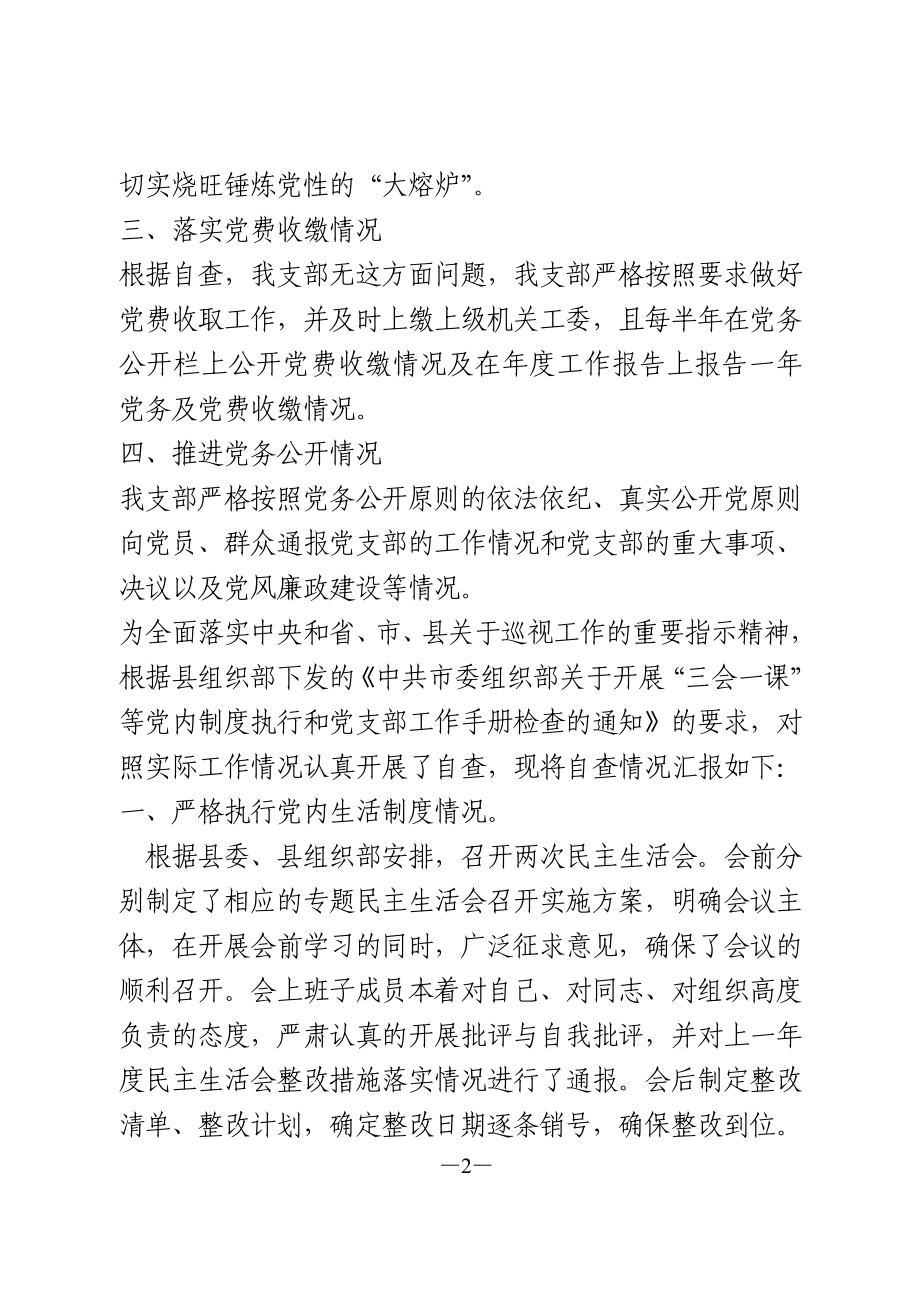 党内制度执行自查报告.doc_第2页