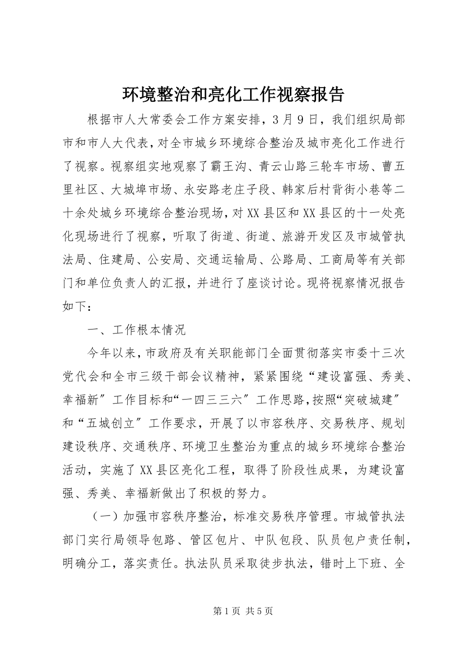 2023年环境整治和亮化工作视察报告.docx_第1页