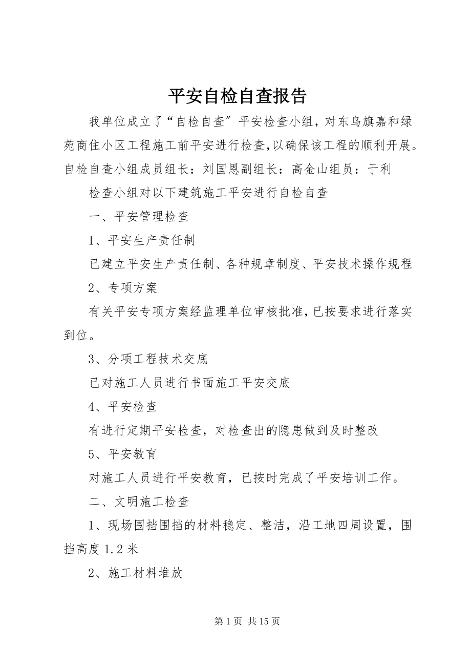 2023年安全自检自查报告新编.docx_第1页