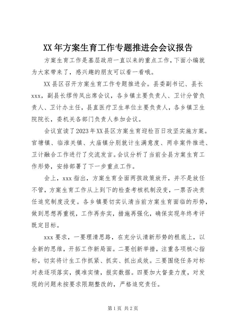 2023年计划生育工作专题推进会会议报告.docx_第1页