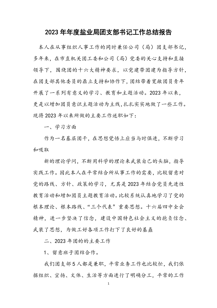 2023年度盐业局团支部书记工作总结报告.docx_第1页