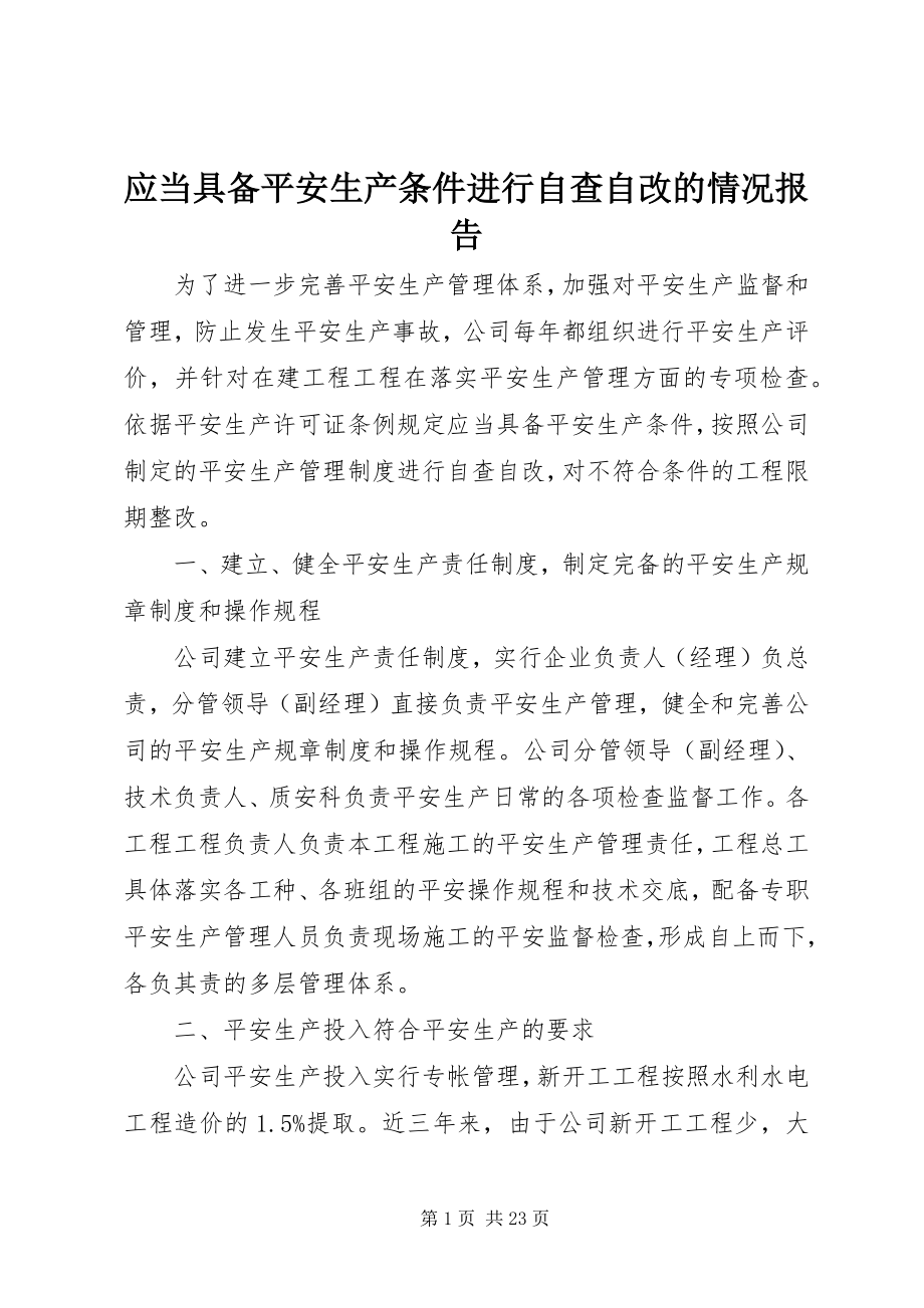 2023年应当具备安全生产条件进行自查自改的情况报告.docx_第1页