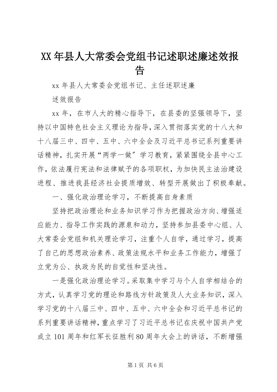 2023年县人大常委会党组书记述职述廉述效报告.docx_第1页