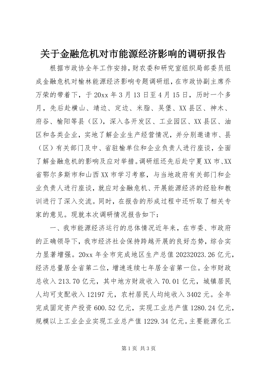 2023年金融危机对市能源经济影响的调研报告.docx_第1页